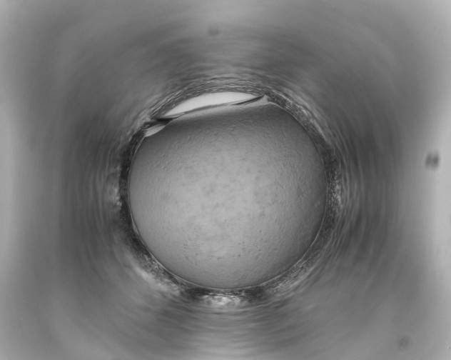 X0000093610512200711051222