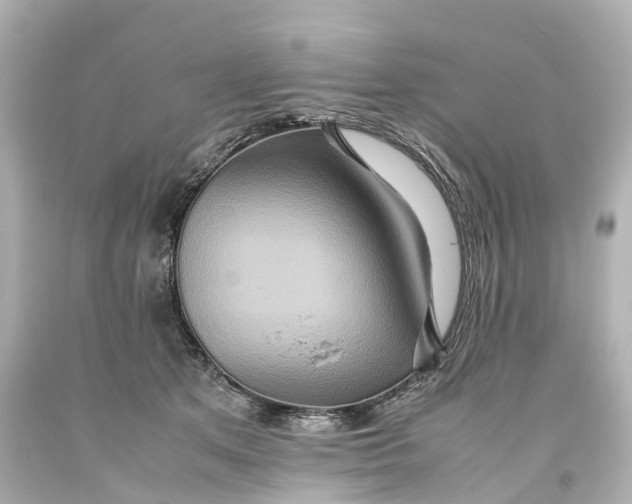 X0000093610513200711051222