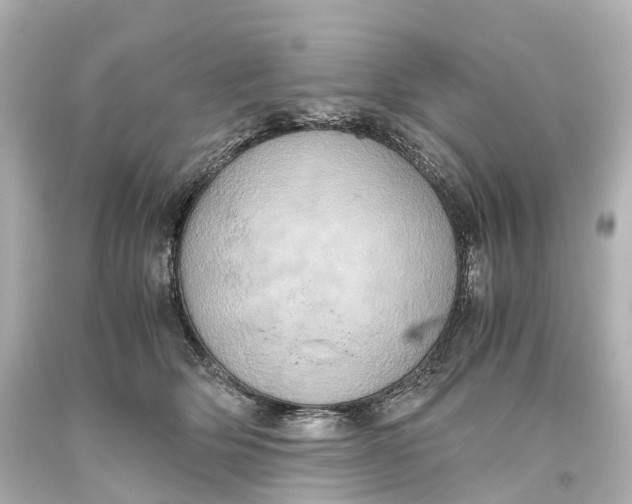 X0000093610514200711051222