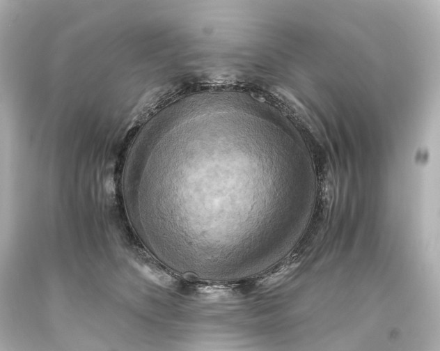 X0000093610516200711051222