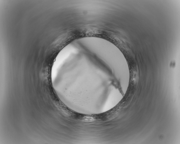 X0000093610519200711051222