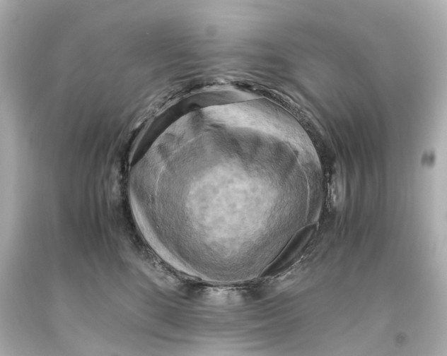 X0000093610520200711051222