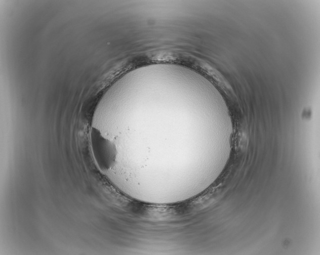 X0000093610521200711051222