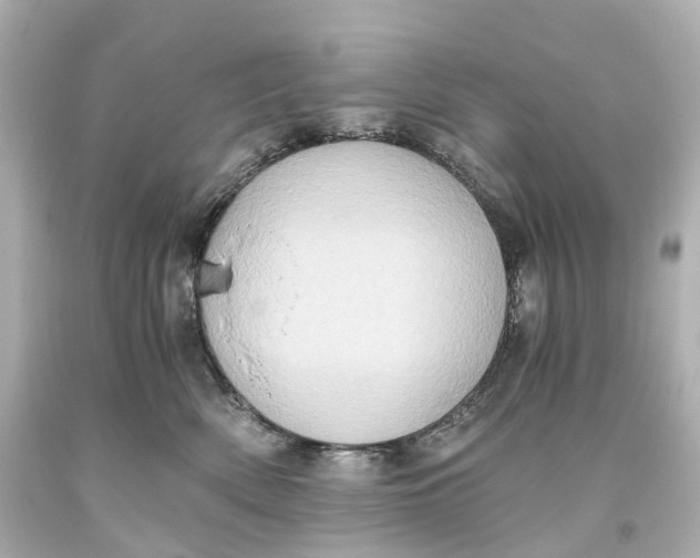X0000093610522200711051222