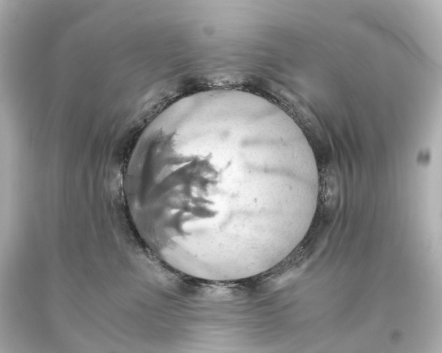 X0000093610523200711051222
