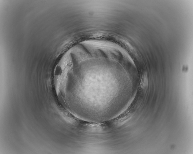 X0000093610524200711051222