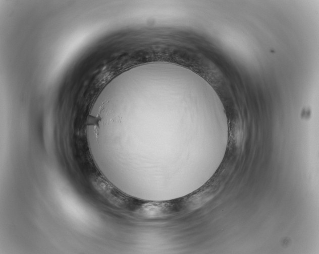X0000093610526200711051221