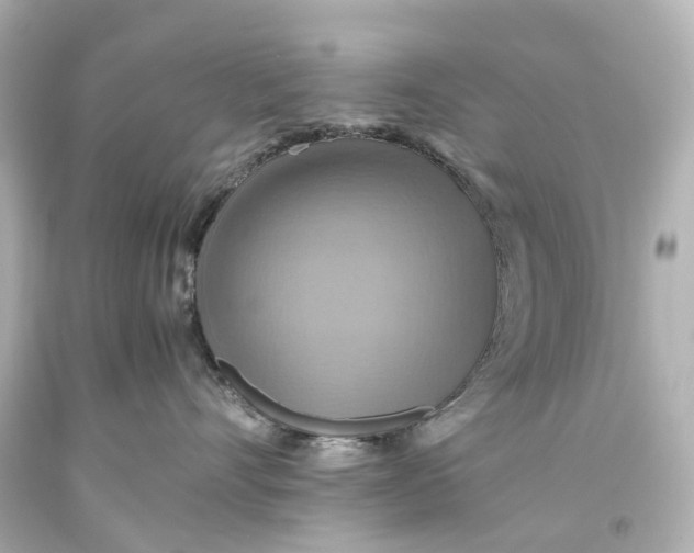X0000093610528200711051221