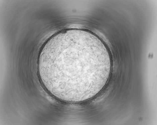 X0000093610529200711051221
