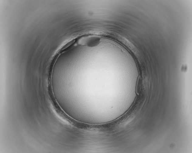 X0000093610530200711051221