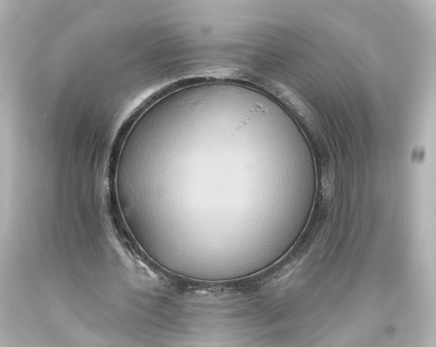 X0000093610532200711051221