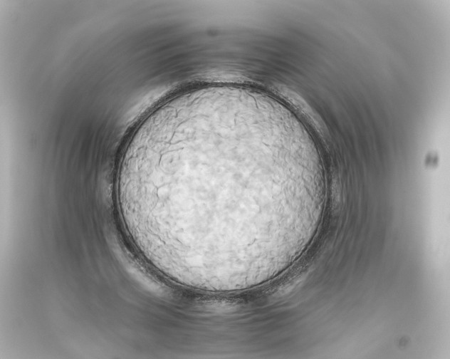 X0000093610533200711051221