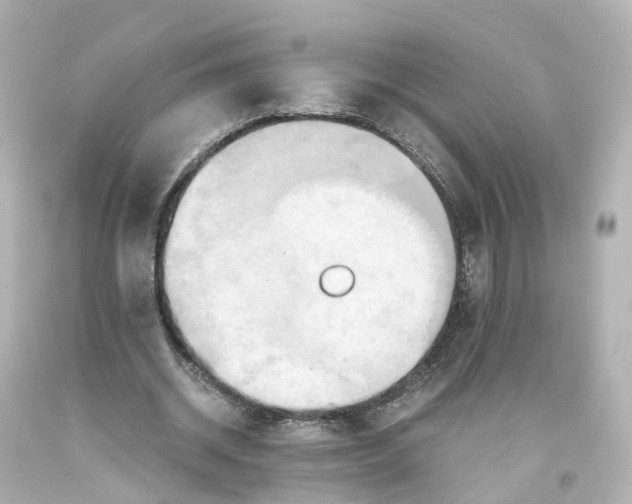 X0000093610534200711051221