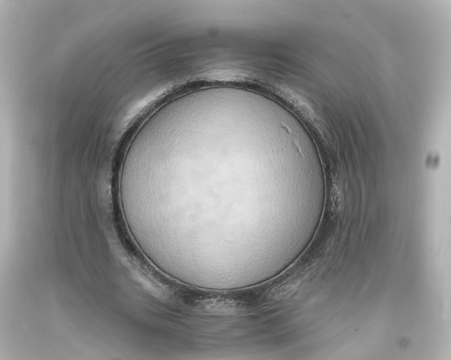 X0000093610535200711051221