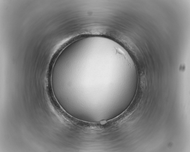 X0000093610536200711051221