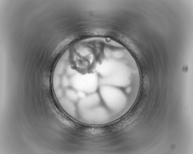 X0000093610537200711051221