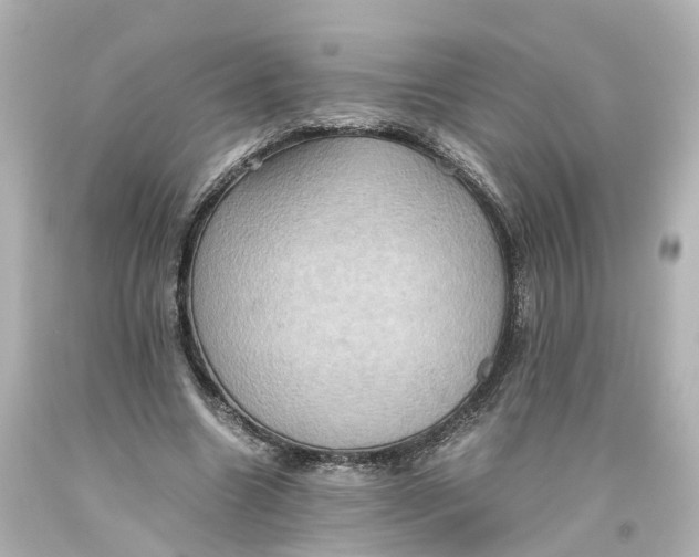X0000093610538200711051221