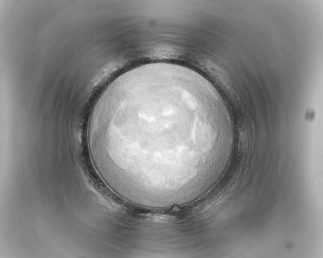 X0000093610539200711051221
