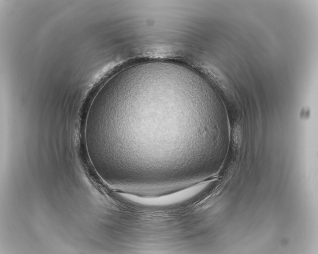 X0000093610540200711051221