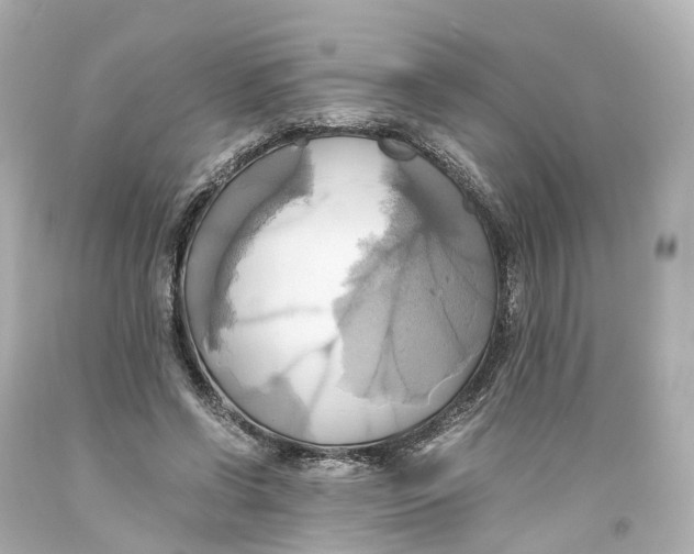X0000093610542200711051221