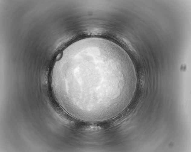 X0000093610543200711051221