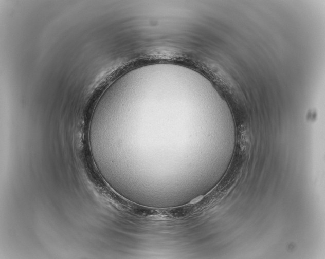 X0000093610544200711051221
