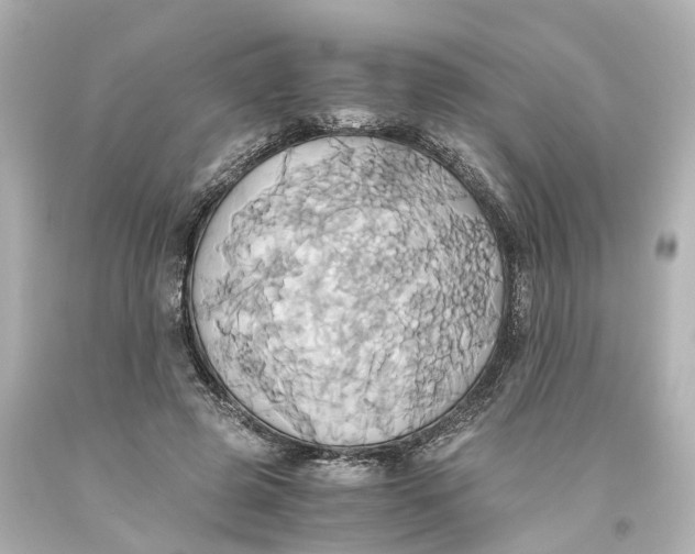 X0000093610545200711051221