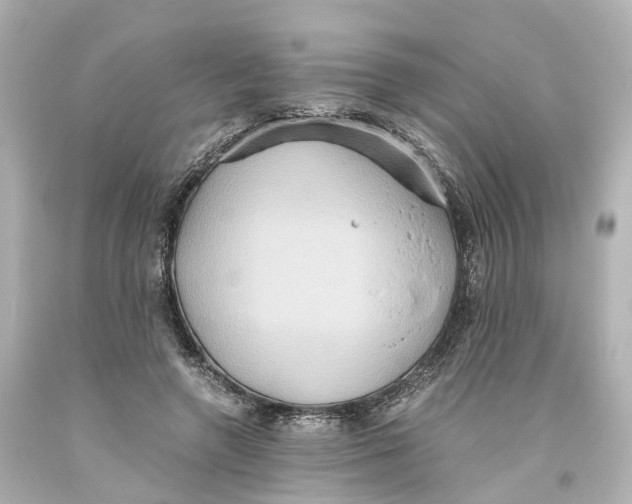 X0000093610546200711051221