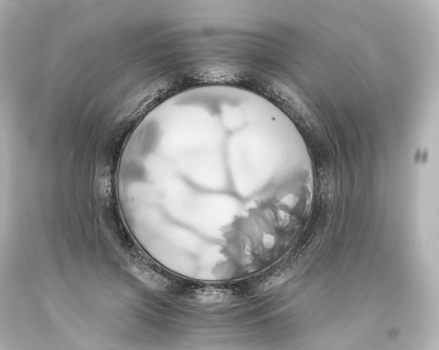 X0000093610549200711051221