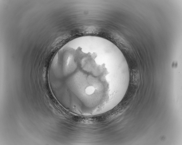 X0000093610550200711051221