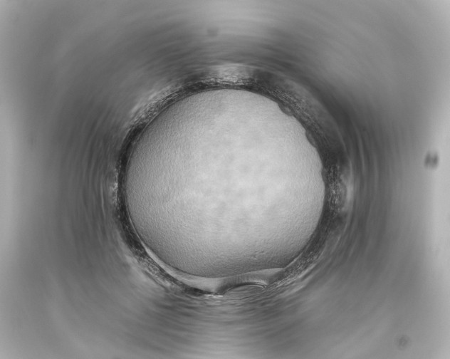 X0000093610552200711051221