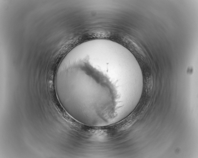 X0000093610553200711051221