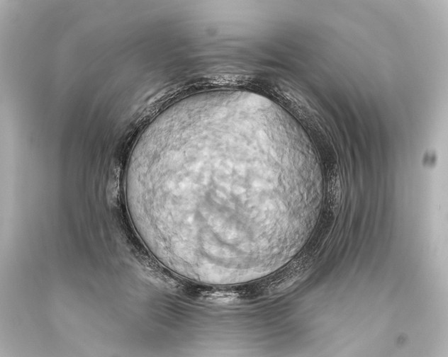X0000093610554200711051221