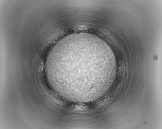 X0000093610555200711051221