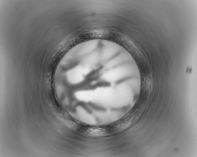 X0000093610557200711051221