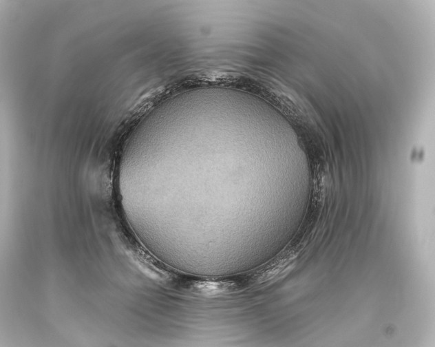 X0000093610558200711051221