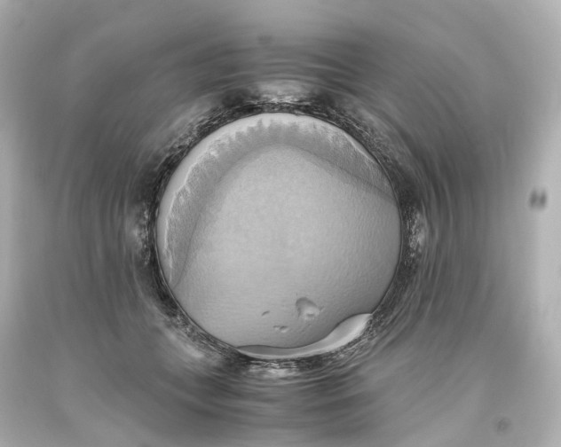 X0000093610559200711051221
