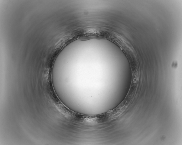 X0000093610560200711051221