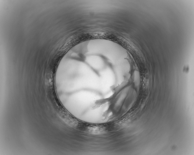 X0000093610561200711051221
