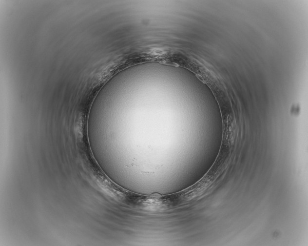X0000093610562200711051221