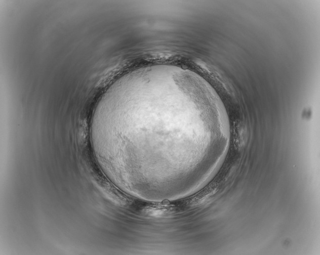 X0000093610563200711051221