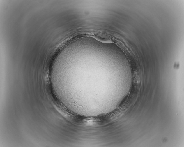 X0000093610564200711051221