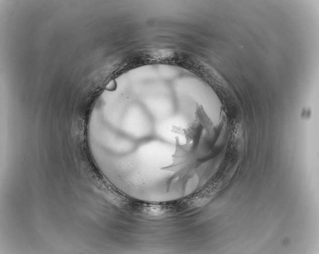 X0000093610565200711051221