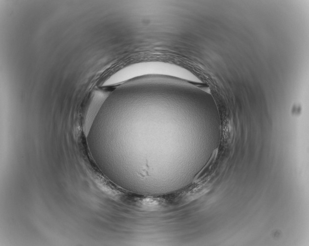 X0000093610566200711051221