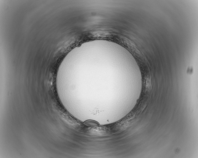 X0000093610567200711051221