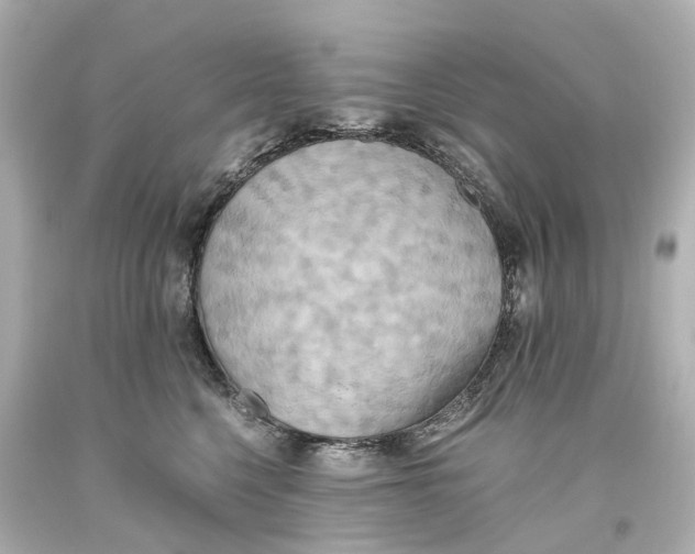 X0000093610568200711051221