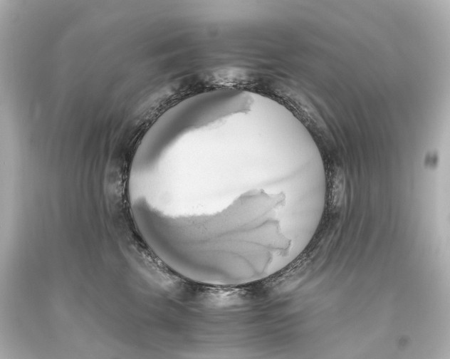 X0000093610569200711051221