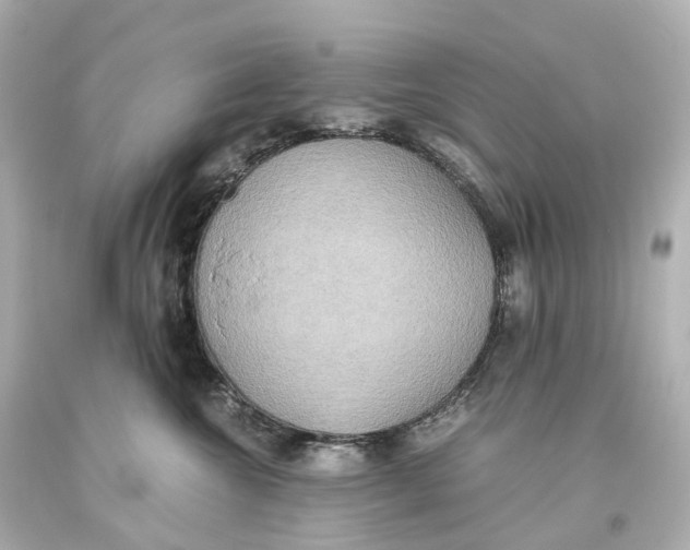 X0000093610572200711051221