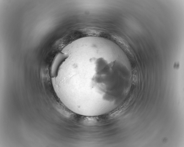 X0000093610573200711051221