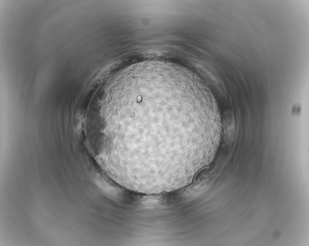 X0000093610574200711051221
